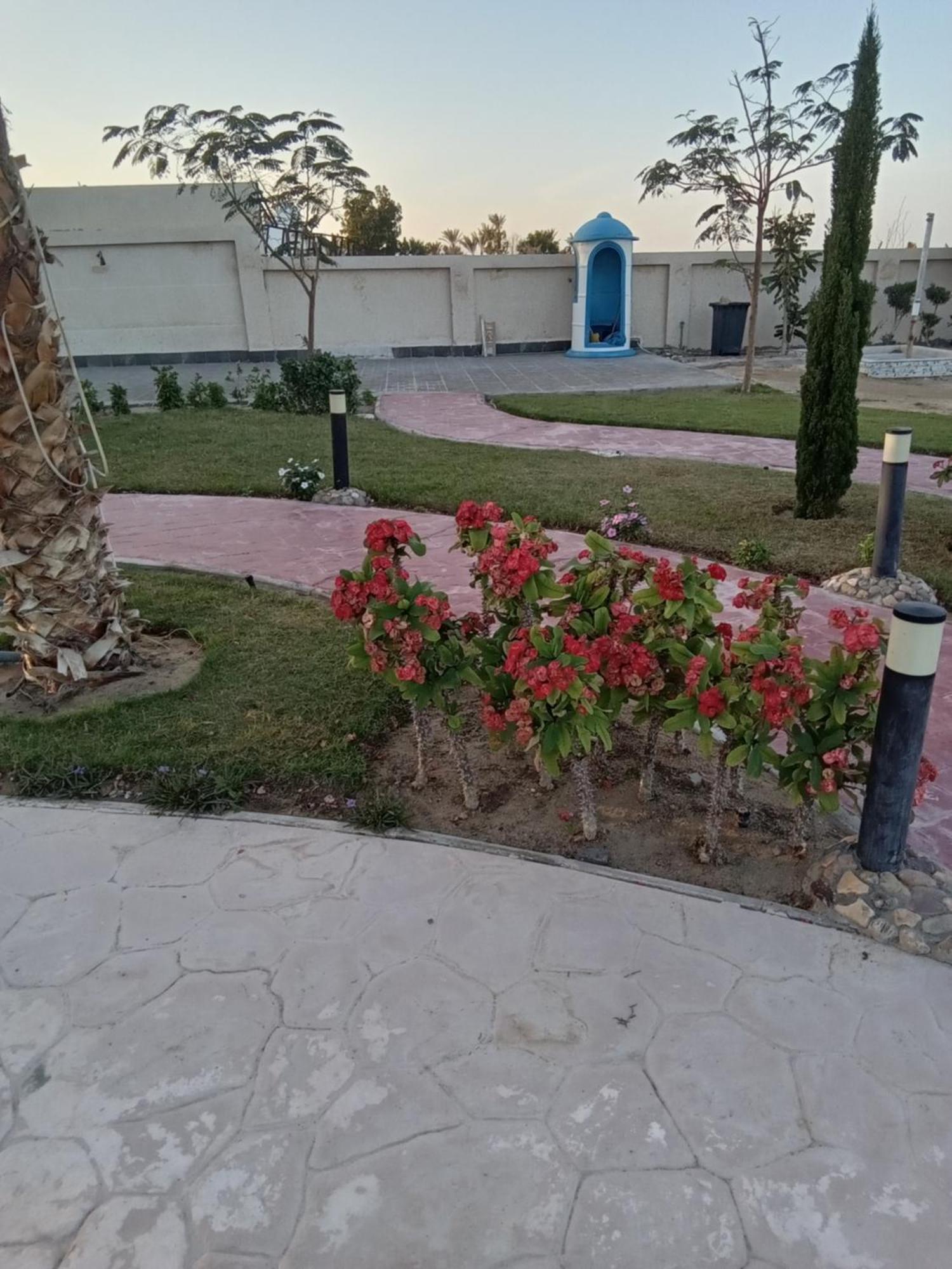 Casablanca Beach For Families And Couples Only Aparthotel Hurghada Buitenkant foto